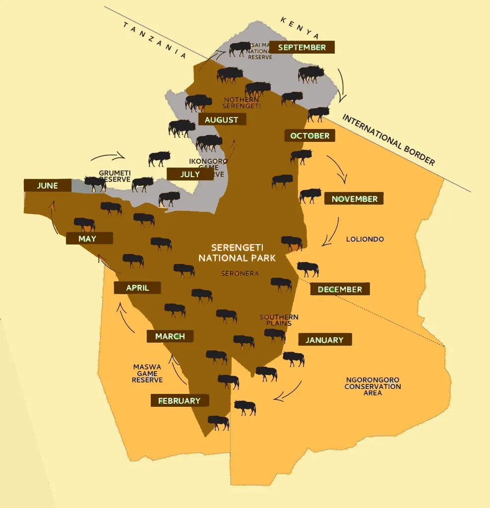 The Serengeti Great Wildebeest Migration Map