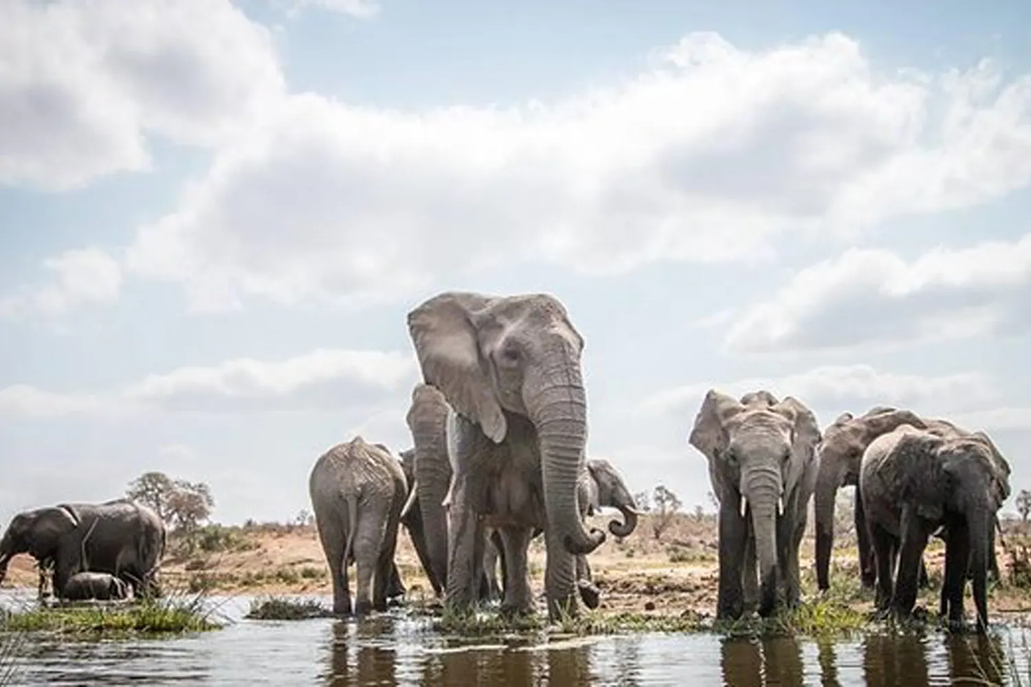 The best 9 days Serengeti private safari