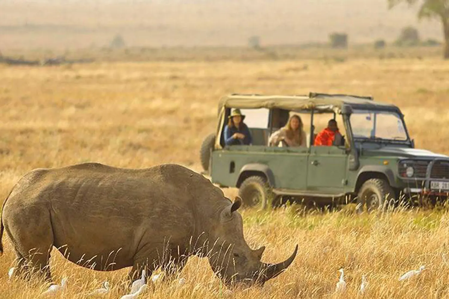 6 days Serengeti private safari