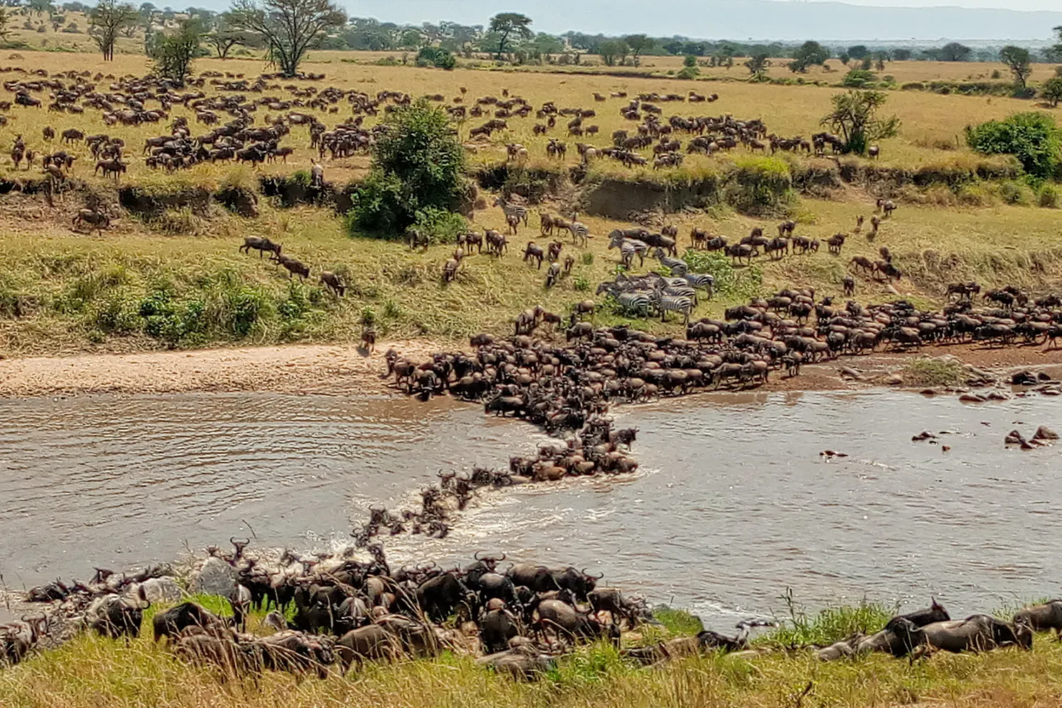 4-day Serengeti Migration Safari Tour From Arusha