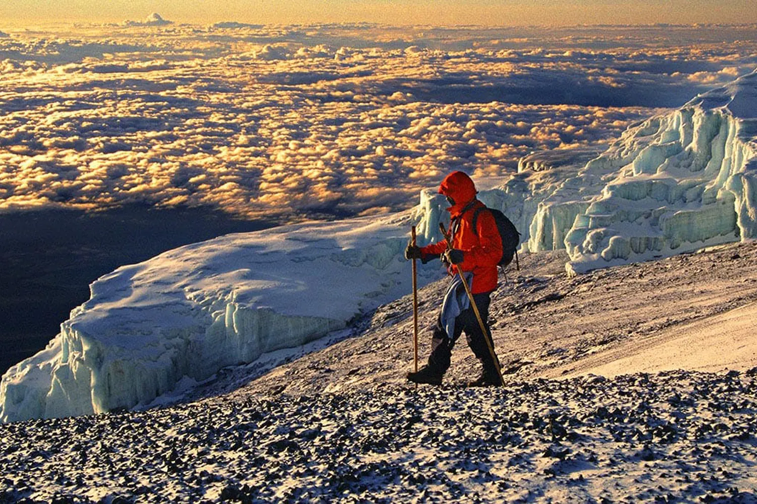 Kilimanjaro trekking Success rates