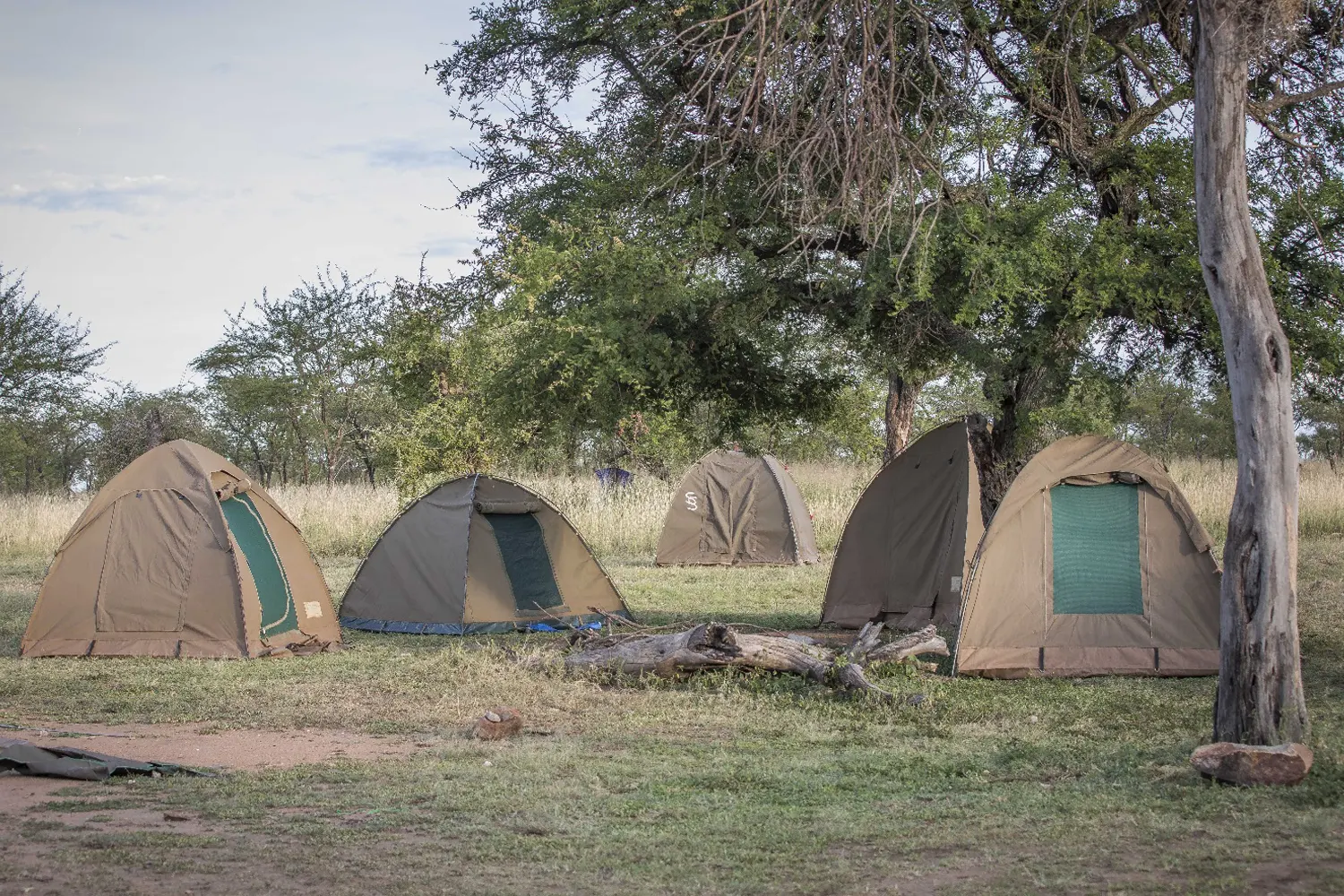 Caamping safari in Tanzania