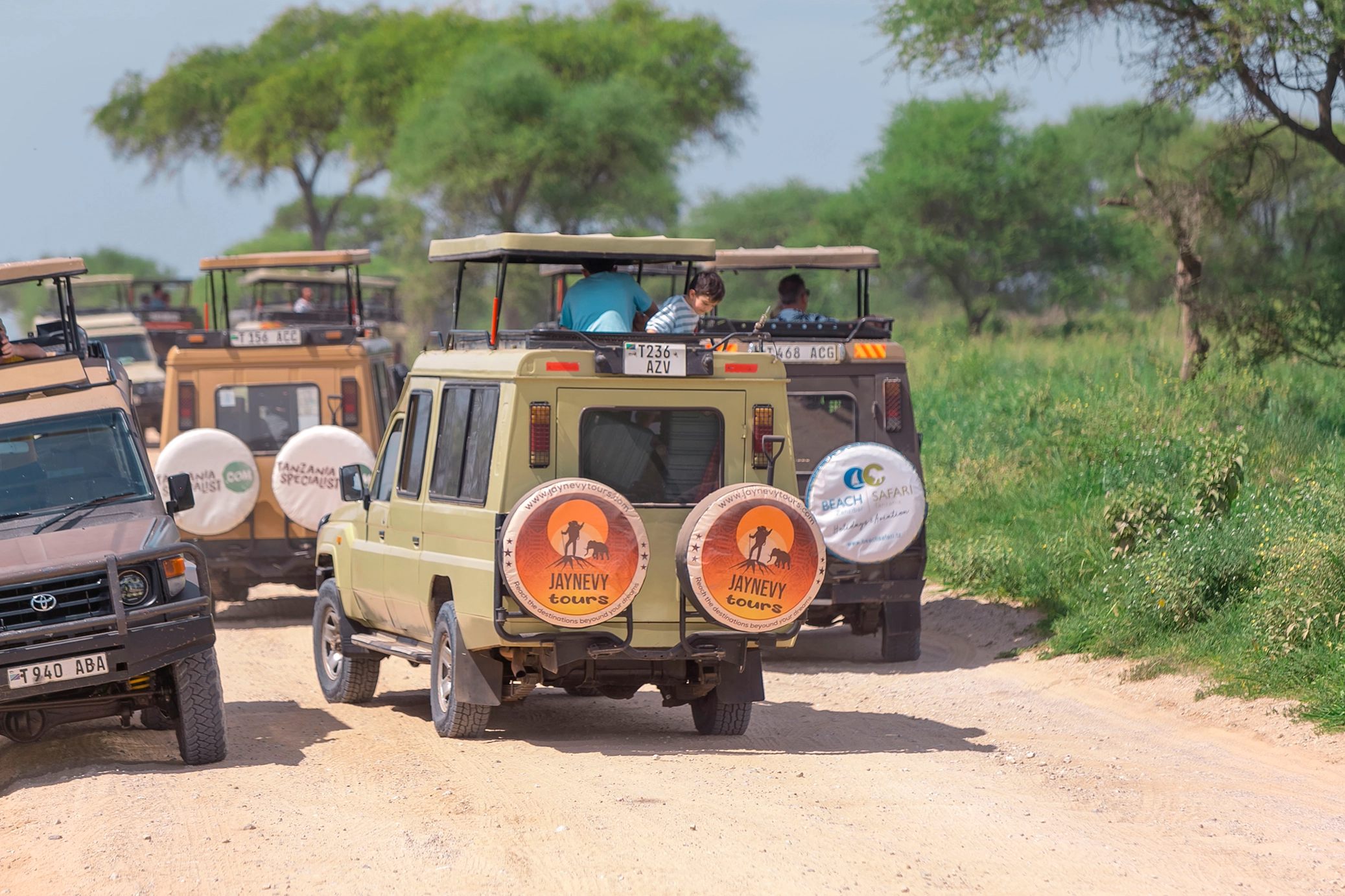 Tanzania Safaris