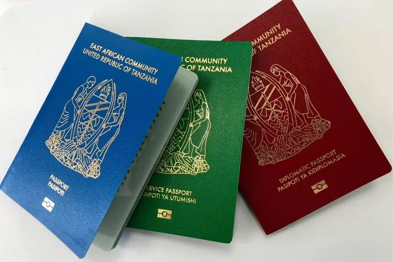 Tanzania Referral Visa Case