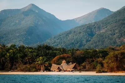 5-Day Mahale and Lake Tanganyika Adventure