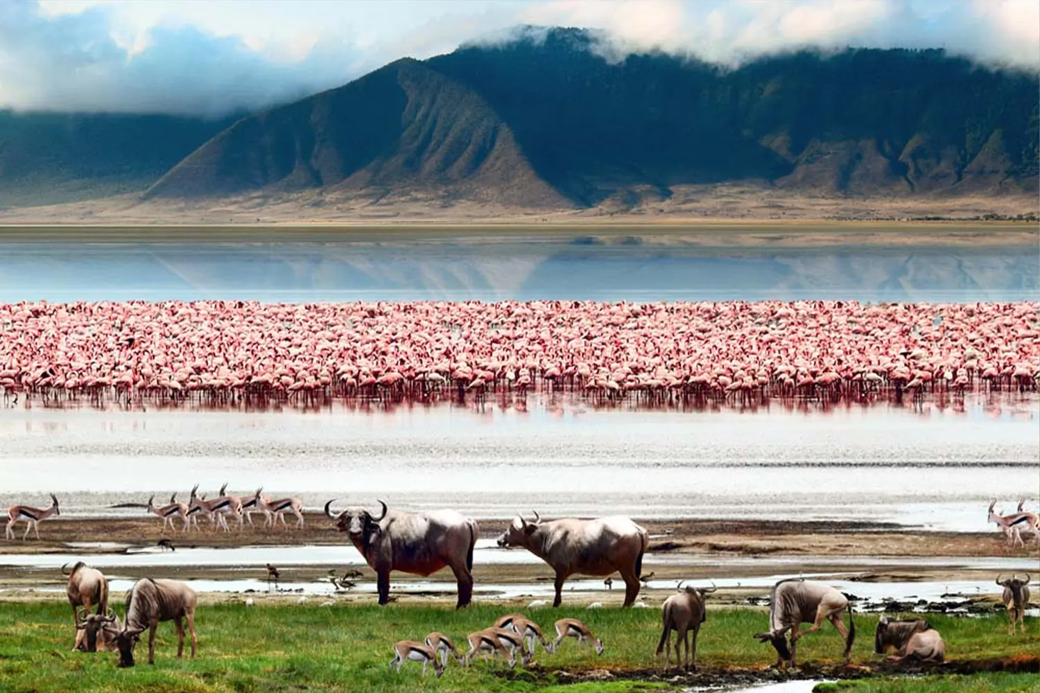 The Exclusive 2-Day Lake Manyara And Ngorongoro Conservation Area Tour From Zanzibar