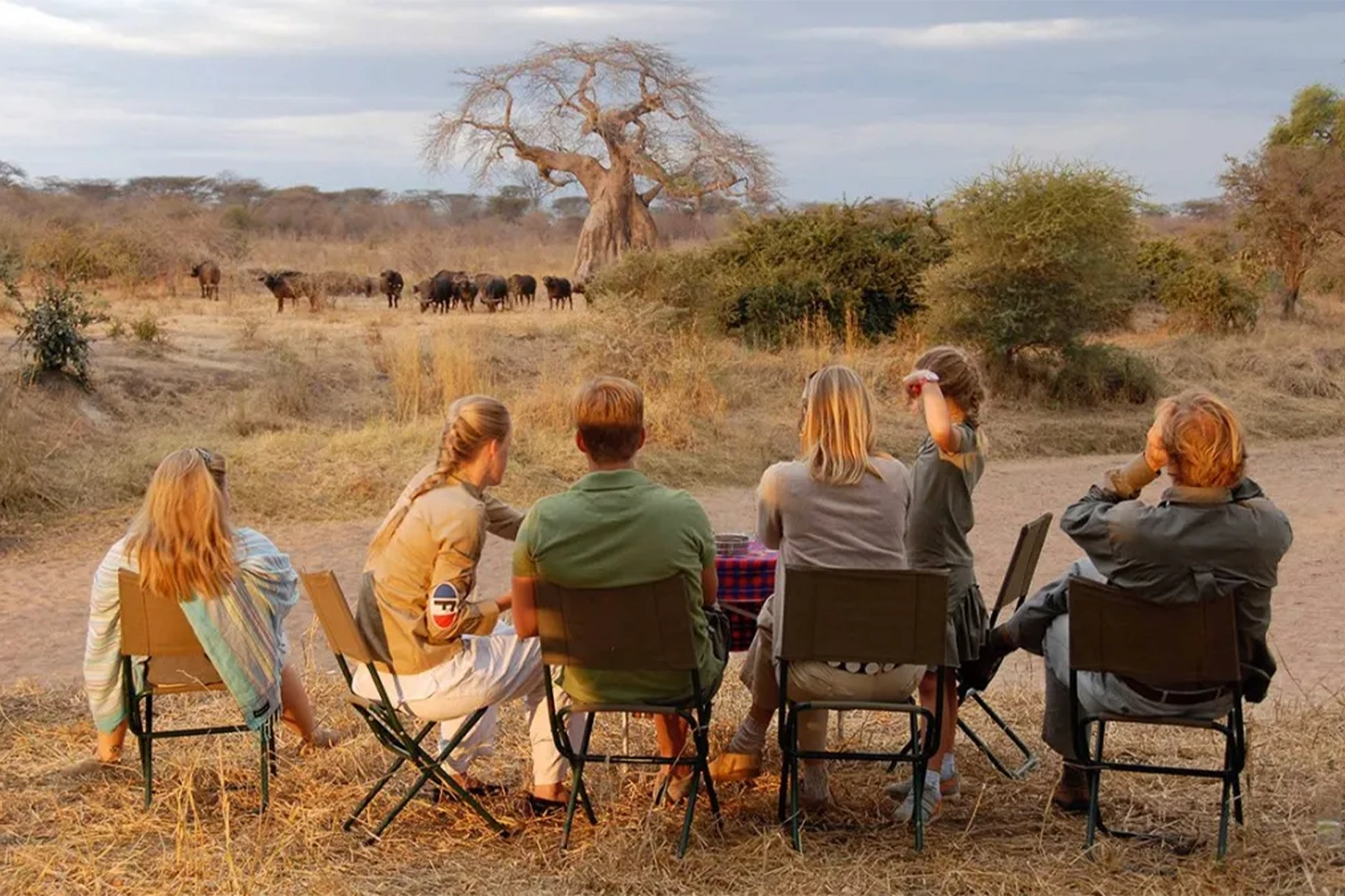 The Best 2-Day Tanzania Private Safari to Tarangire and Lake Manyara