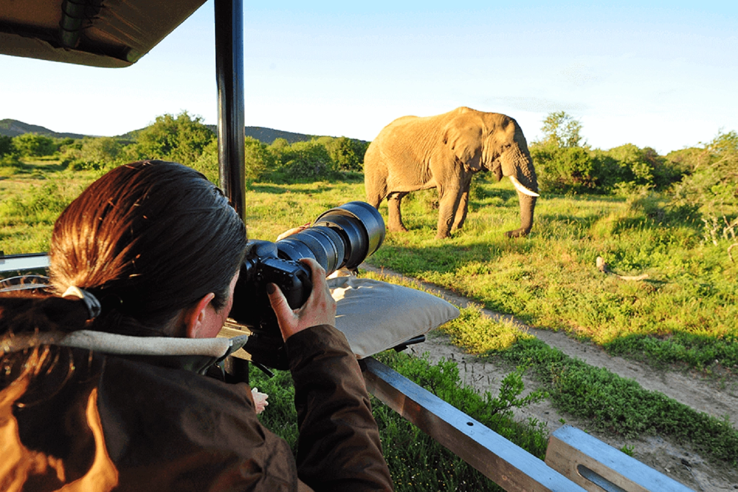 Tarangire wildlife expedition