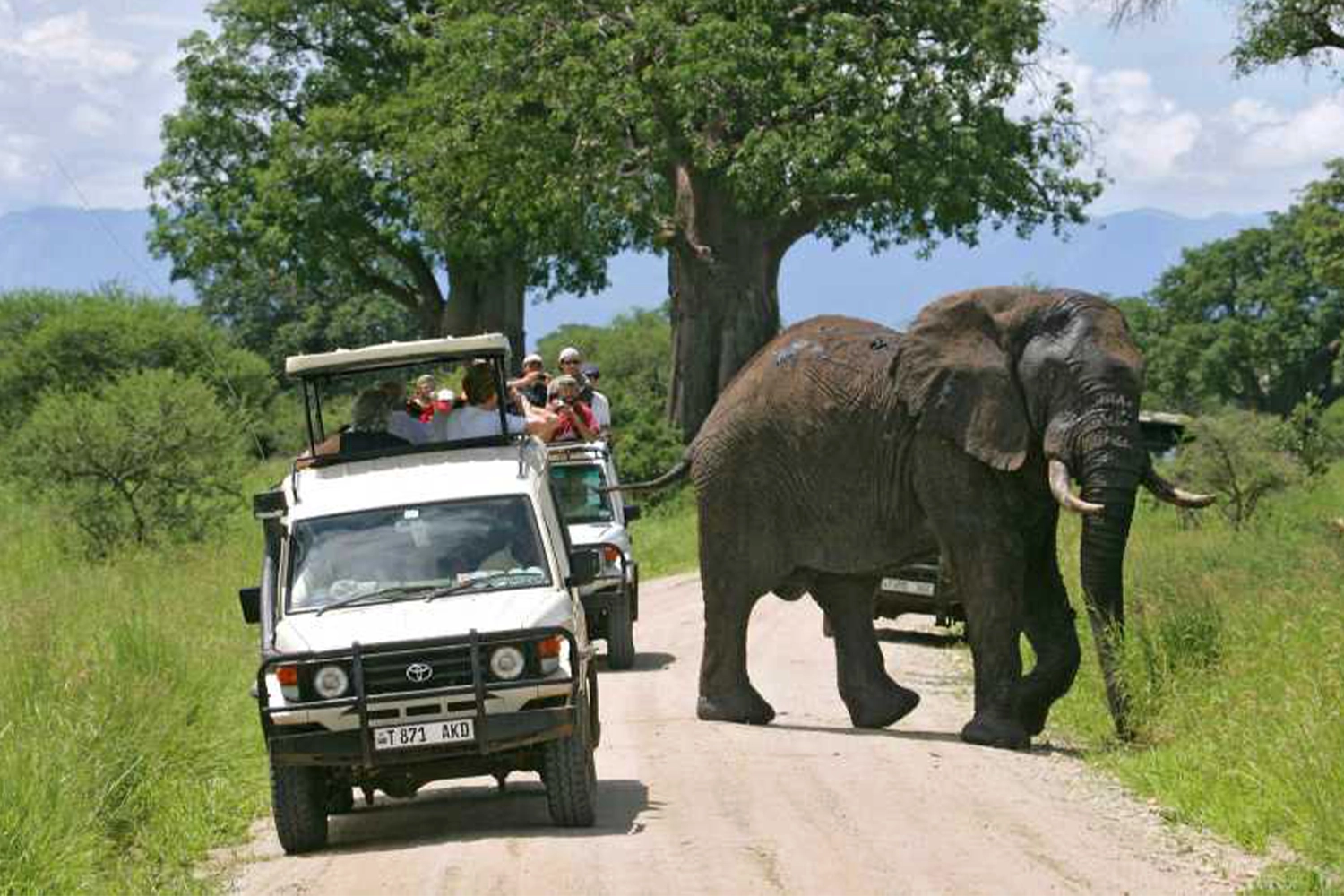 Tarangire Day Trip Joining Safari Tour Package