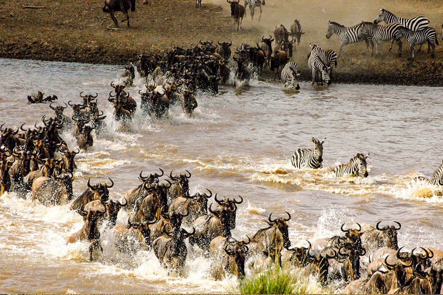 7 days Serengeti Migration Safari Tour Package