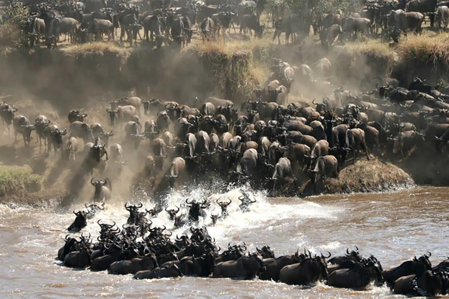 The 9-day Serengeti Migration Safari Tour Package