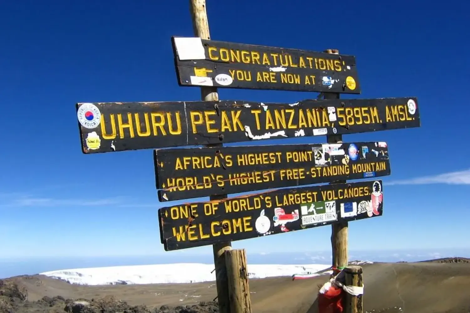 Kilimanjaro trekking and wildlife safari