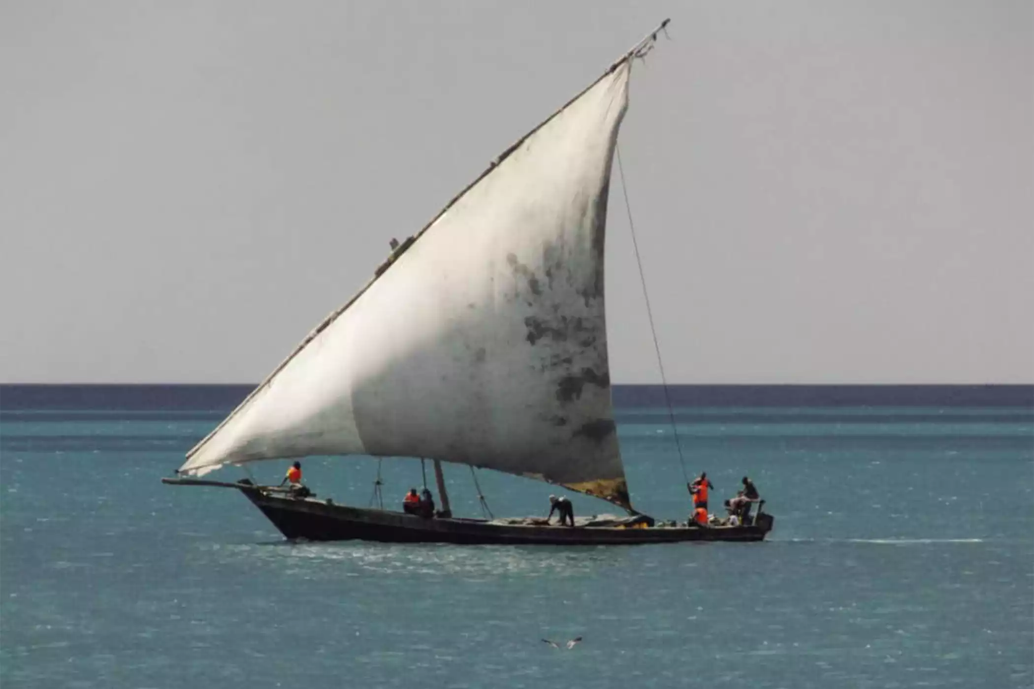 Traditional sunset dhow cruise tour in Zanzibar