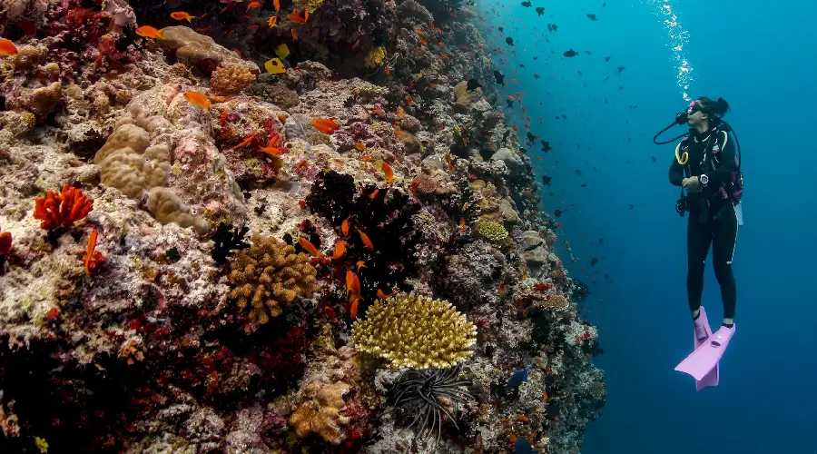 Mnemba Atoll in Zanzibar