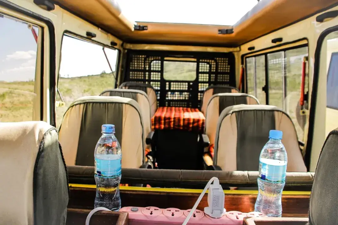 Safari Vehicle 1
