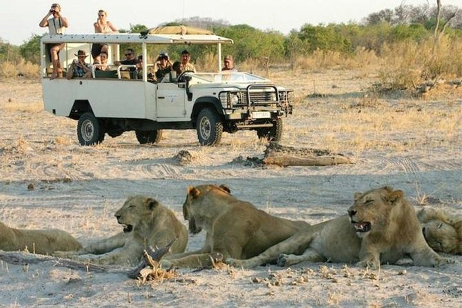 The Tanzania Open Vehicle Game Drive