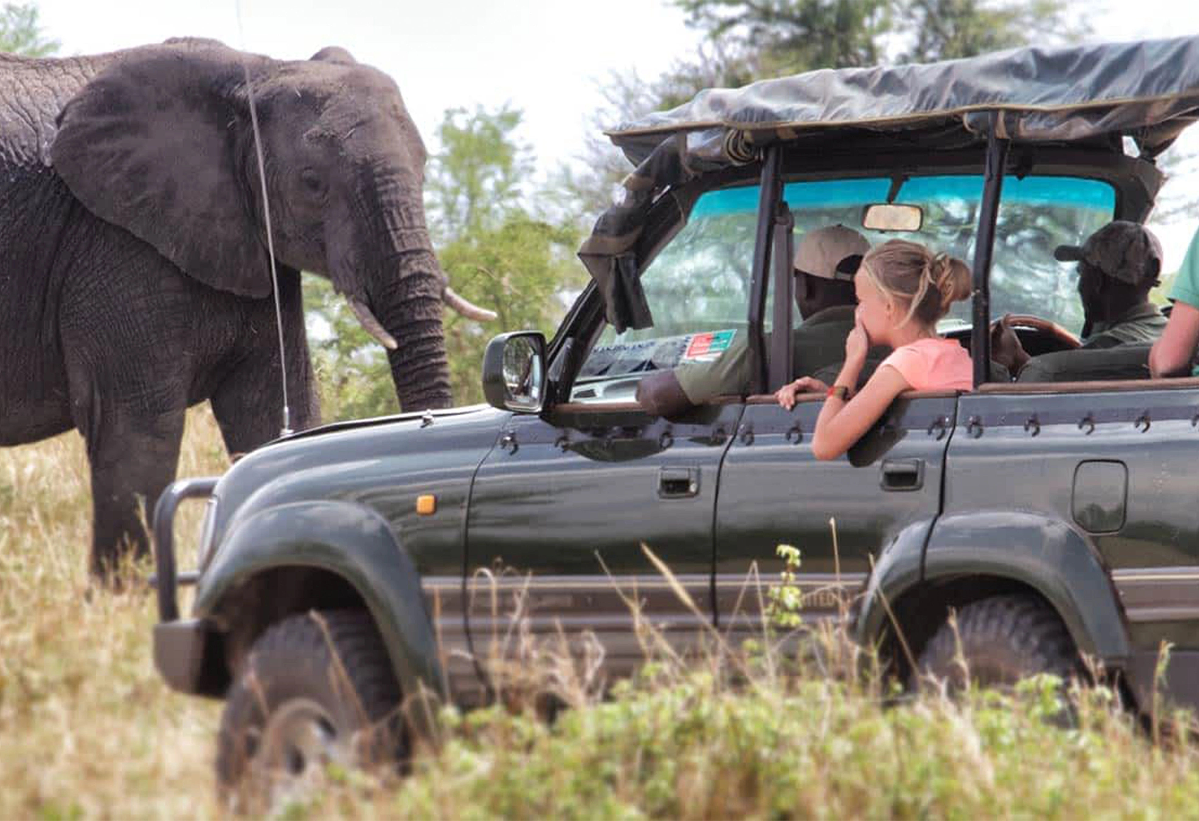 10 Tage Serengeti-Tansania-Safari