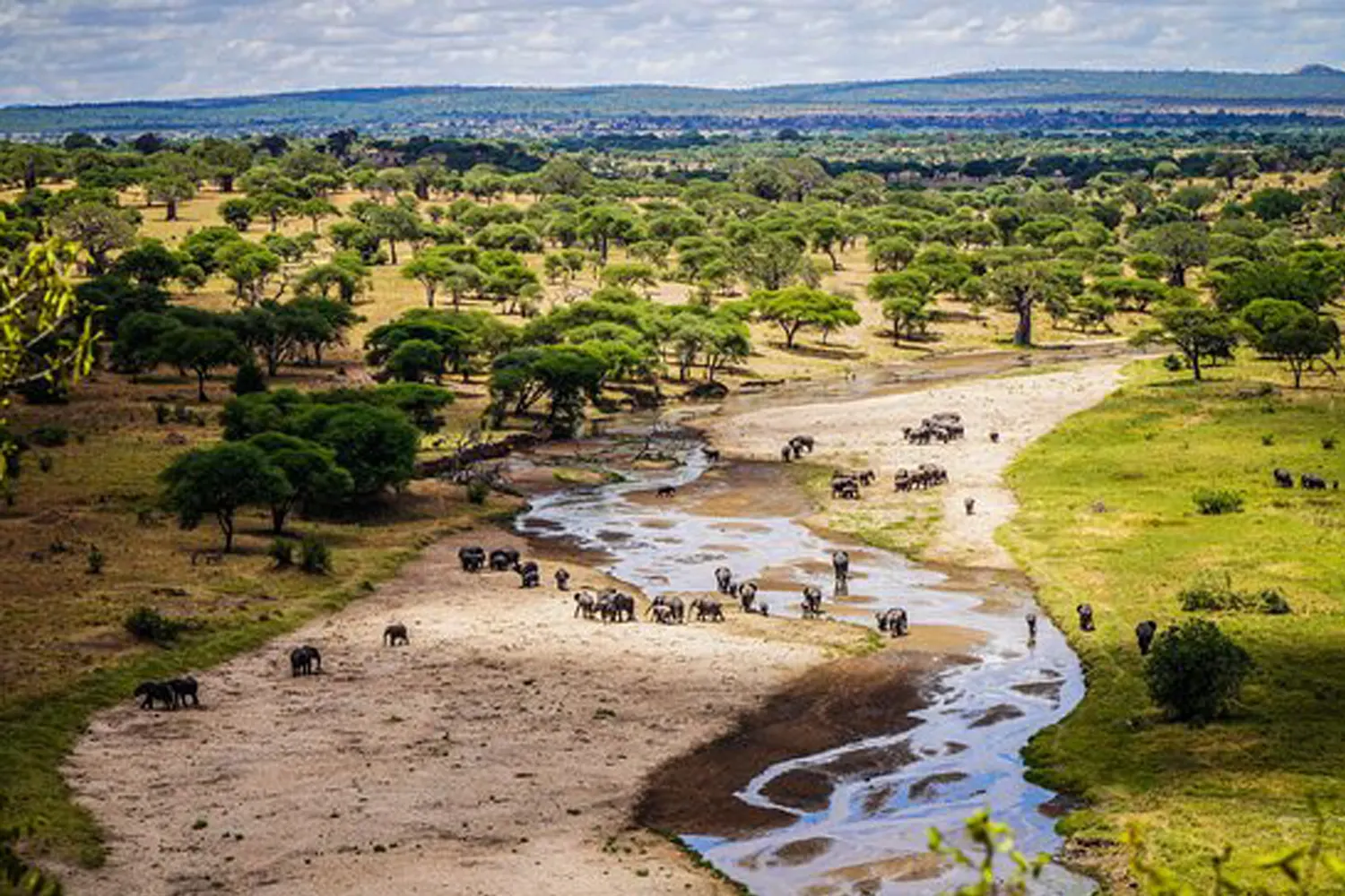 2 Tage Tarangire und Lake Manyara private Safari