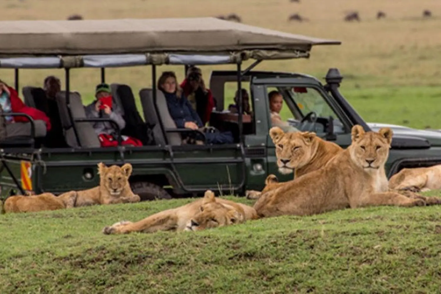 Touristen beobachten Tiere während der dreitägigen Serengeti-Budget-Safari ab Arusha