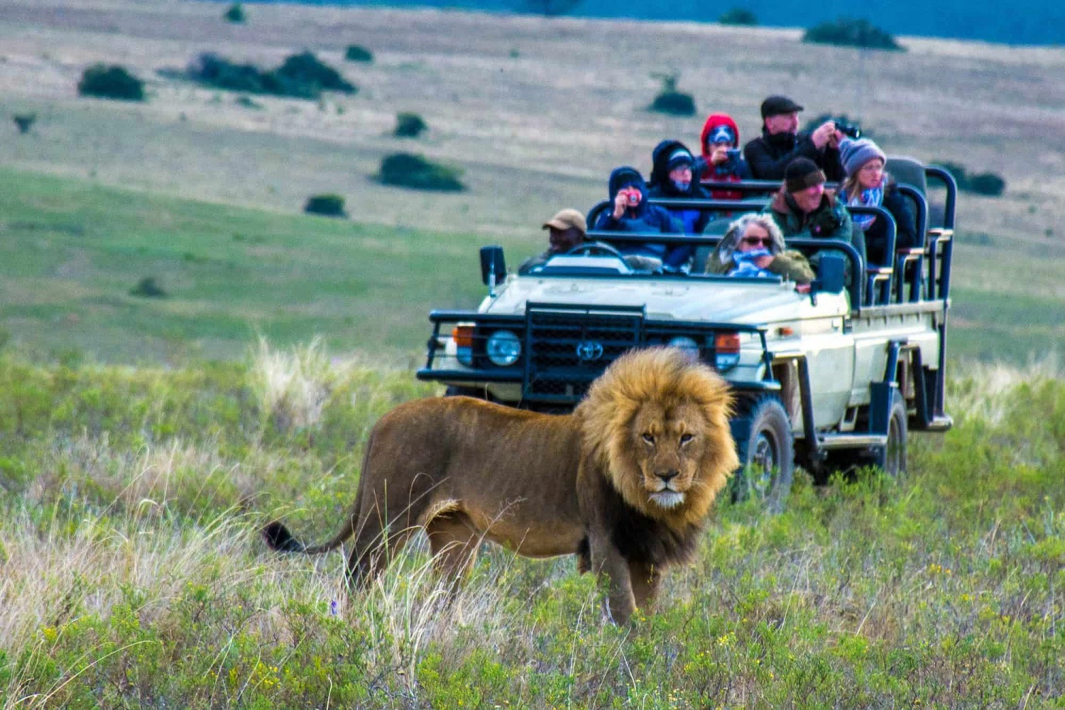 Tanzania Tierfotografie-Safari