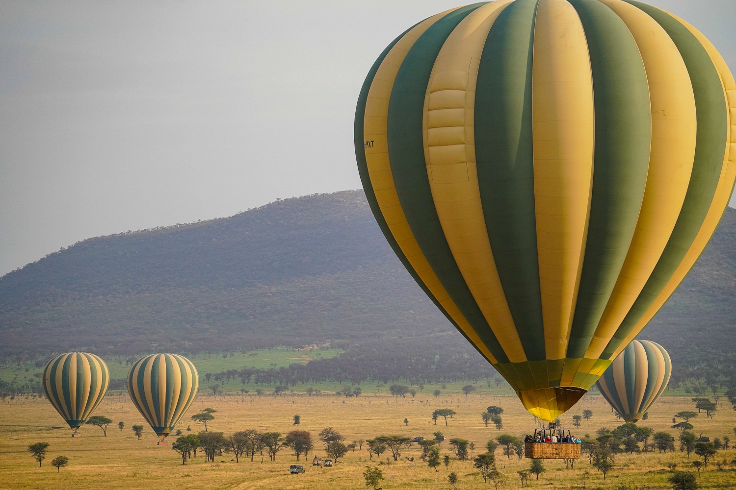 4 Tage Serengeti-Heißluftballonsafari