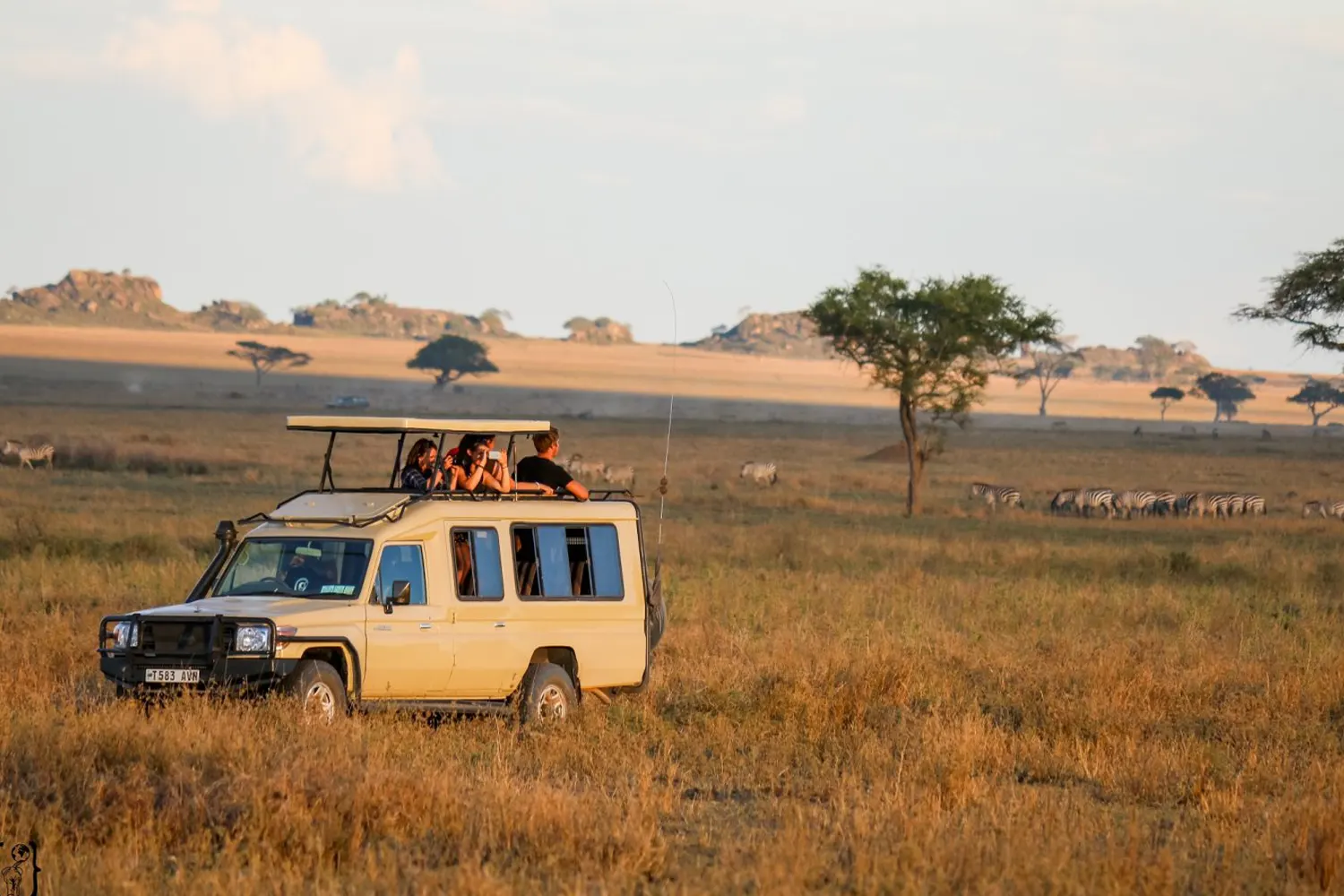 5-tägige Serengeti- und Ngorongoro-Teilnahme-Safari: