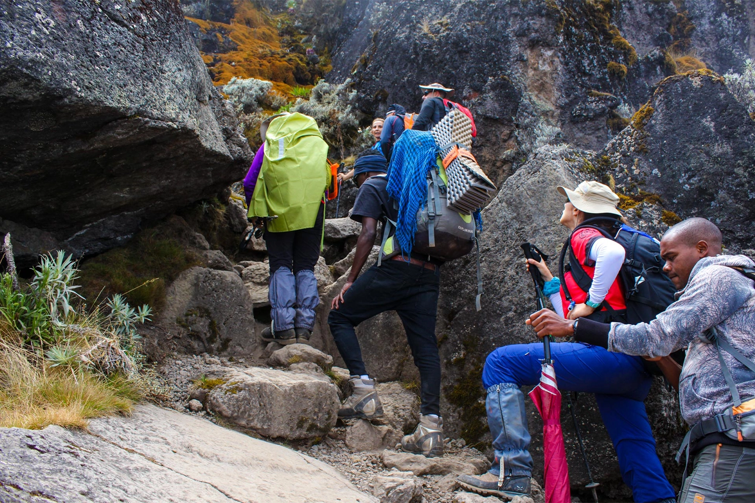 6 Tage Kilimandscharo-Besteigung der Marangu-Route