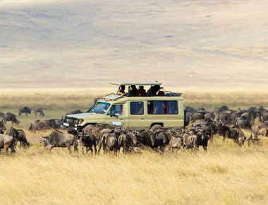 6 Tage 5- Nächtliche Serengeti-Migrationssafari mit Flussüberquerung