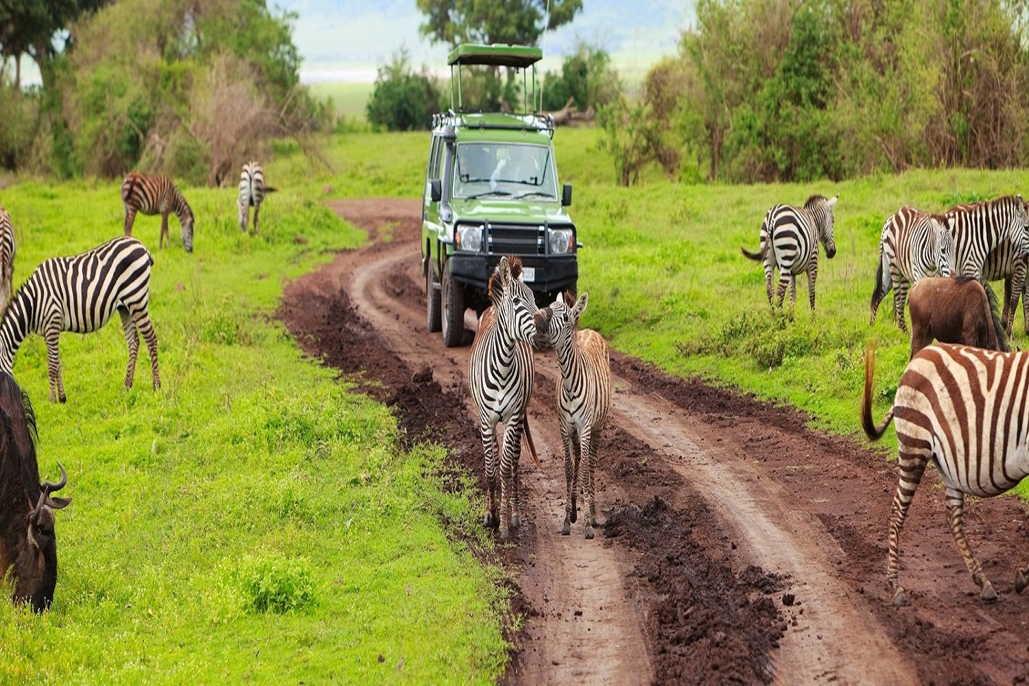 6-tägiges Tansania Group Sharing Safari Tour-Paket