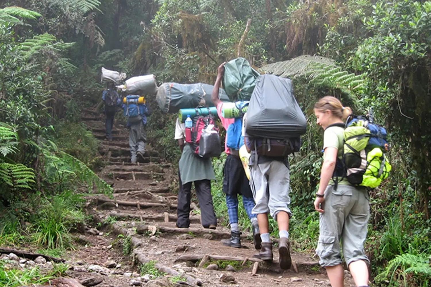 7 Tage Kilimandscharo-Besteigung, preisgünstige Lemosho-Route