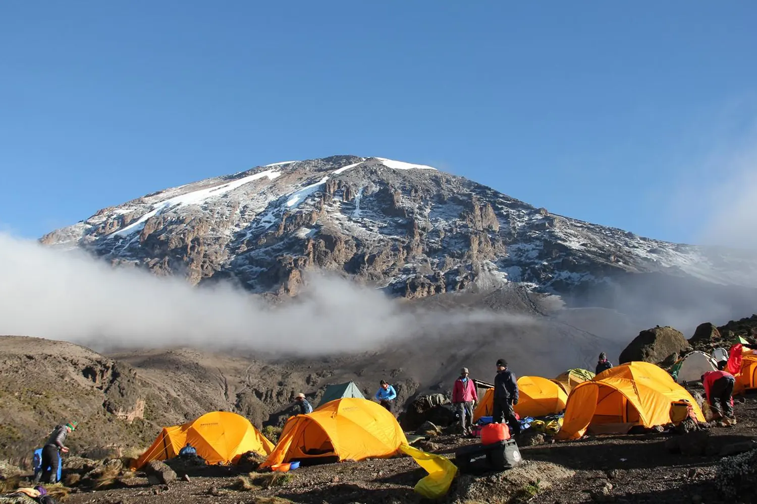 Besteigung der Machame-Route im Dezember für 7 Tage