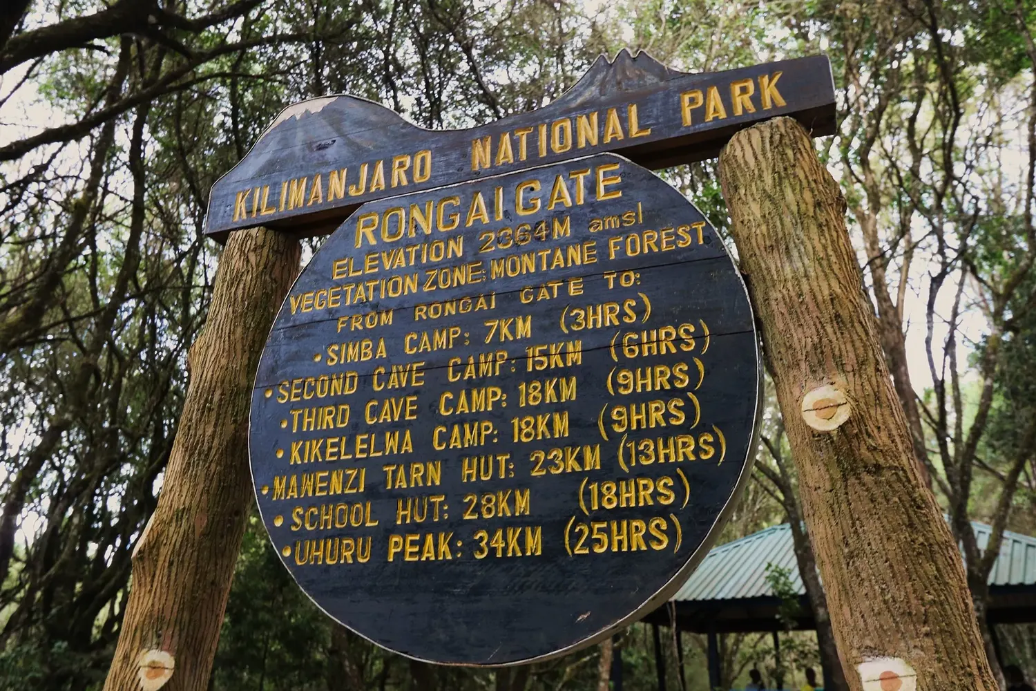 7 Tage Kilimandscharo-Klettertour Rongai Route