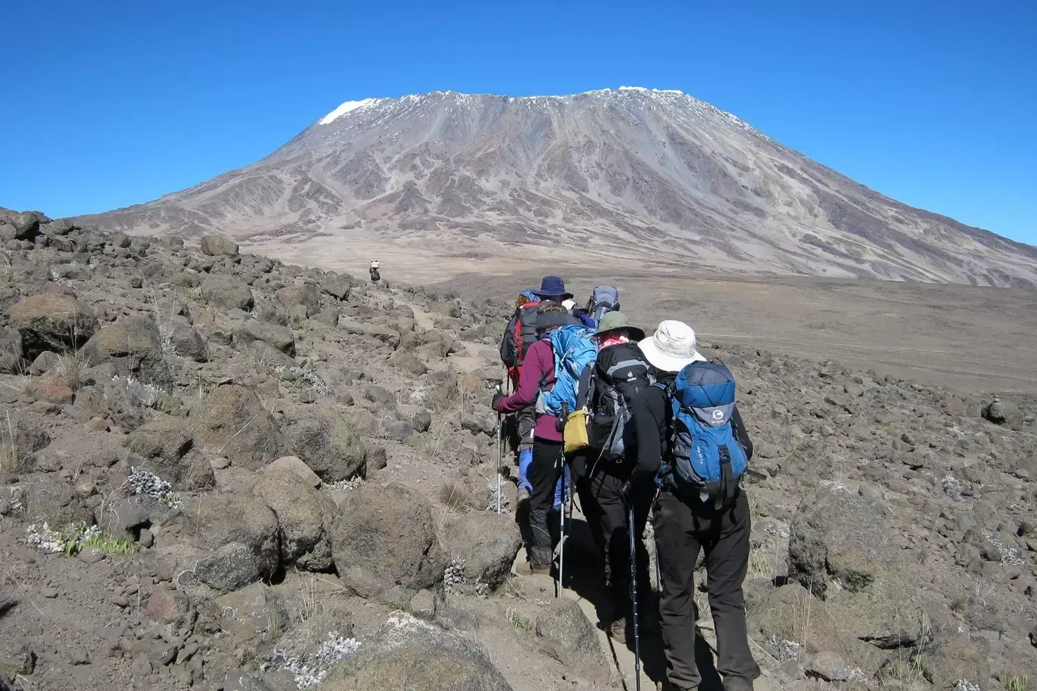 7-tägige Lemosho-Route-Kilimandscharo-Gruppen-Trekkingtour