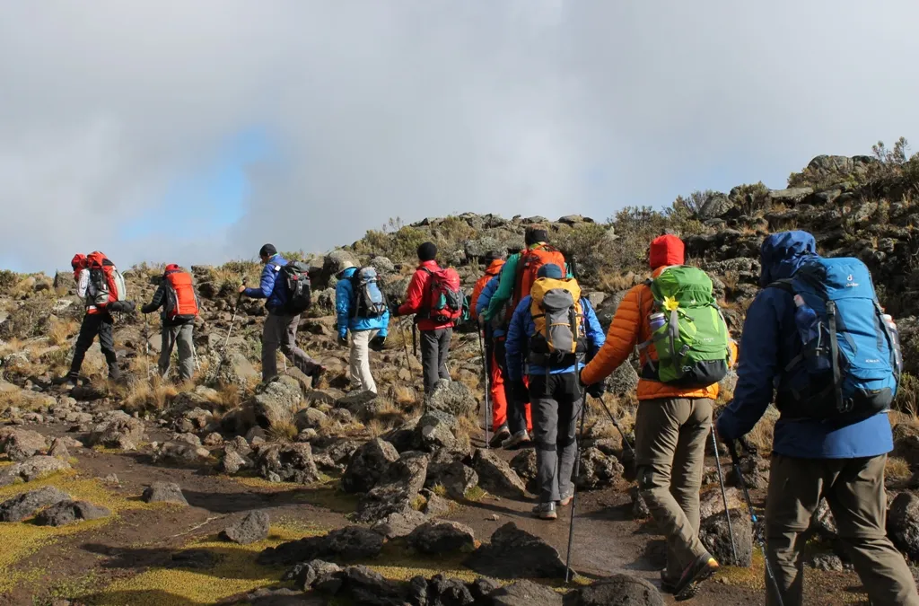 8-tägige Kilimandscharo-Gruppe auf der Lemosho-Route