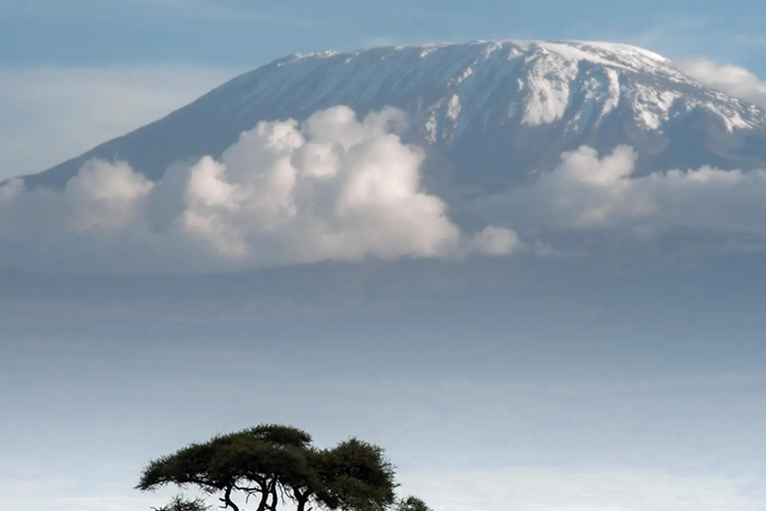 Kilimanjaro Lemosho-Route-Trekking Tour im Dezember