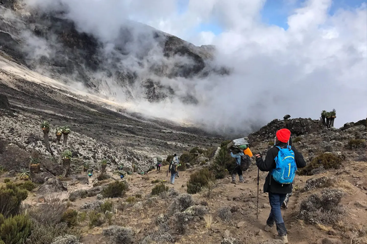 8 Tage mittelschwere Kilimandscharo-Besteigung der Lemosho-Route