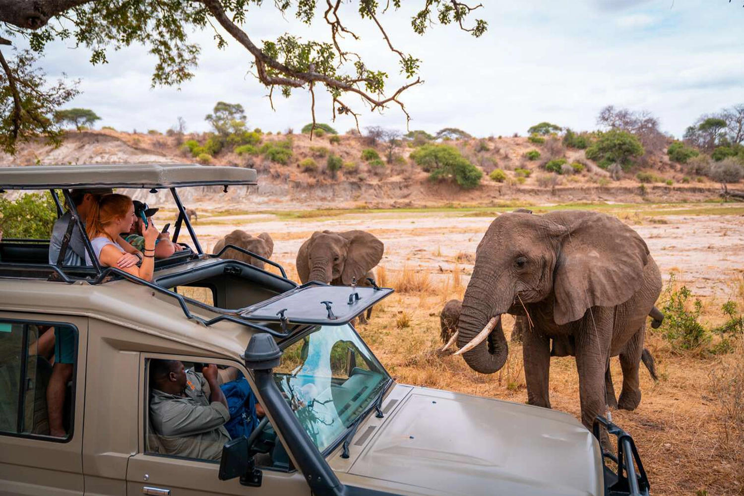 8-tägige Tansania-Safari-Reiseroute mit Serengeti und Ngorongoro