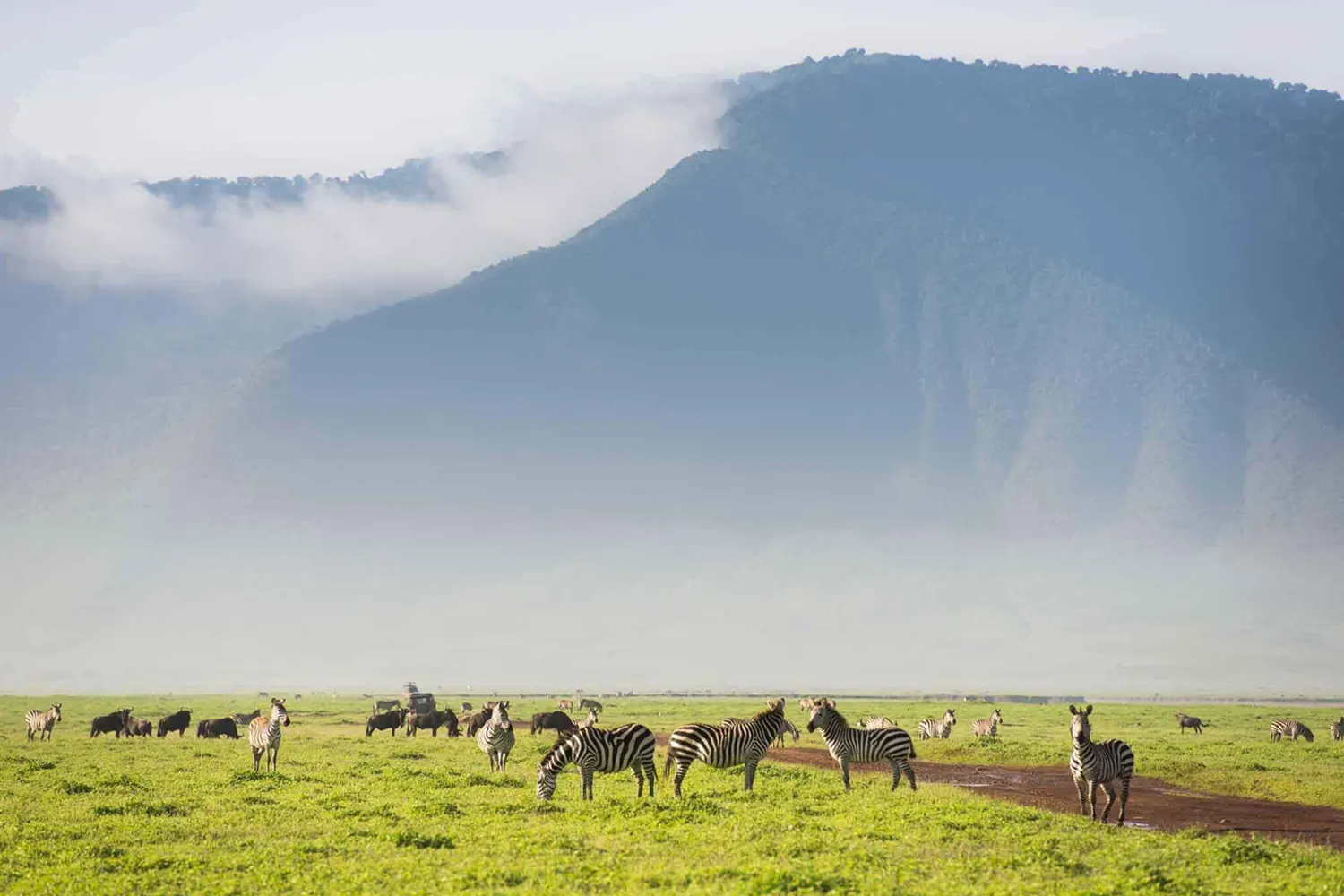 9 Tage Serengeti-Safari