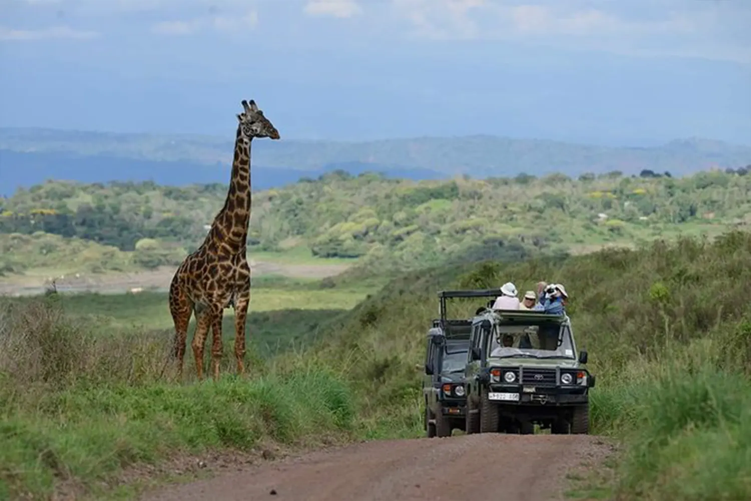 Private Safari nach Arusha-Tagesausflug