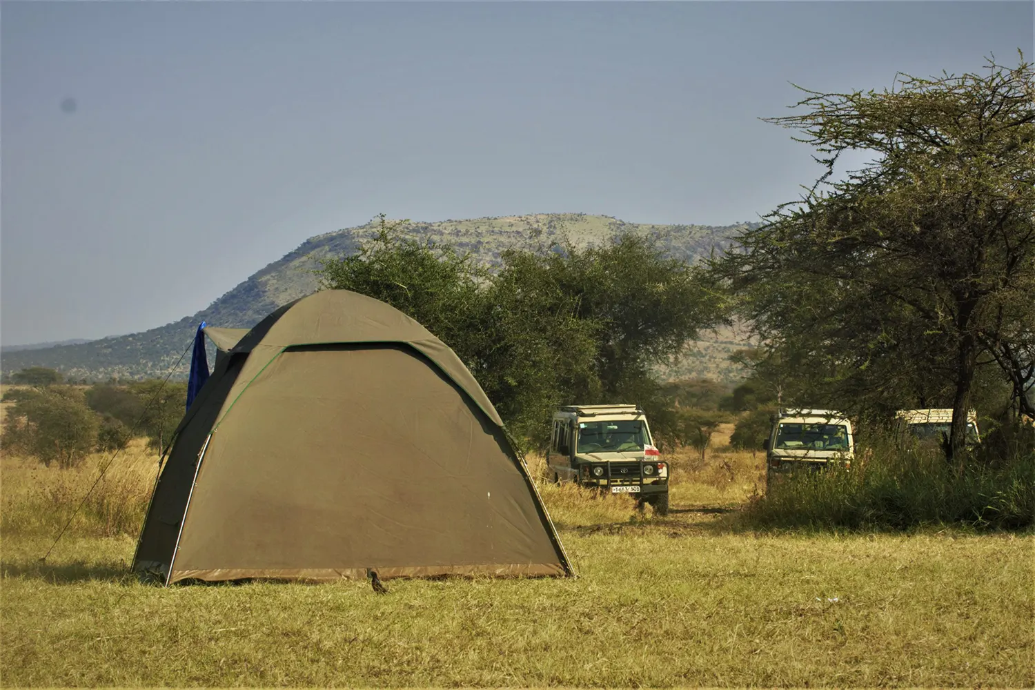 4 Tage Serengeti Camping-Safari