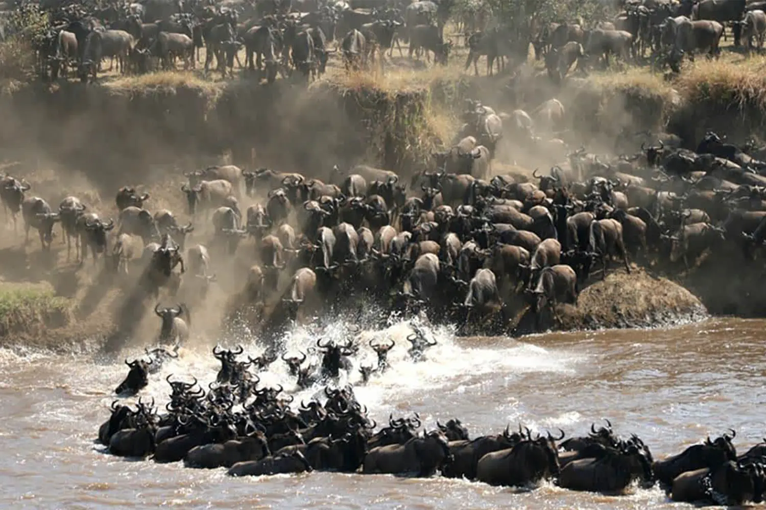 Das 9-tägige Serengeti Migration Safari Tour-Paket