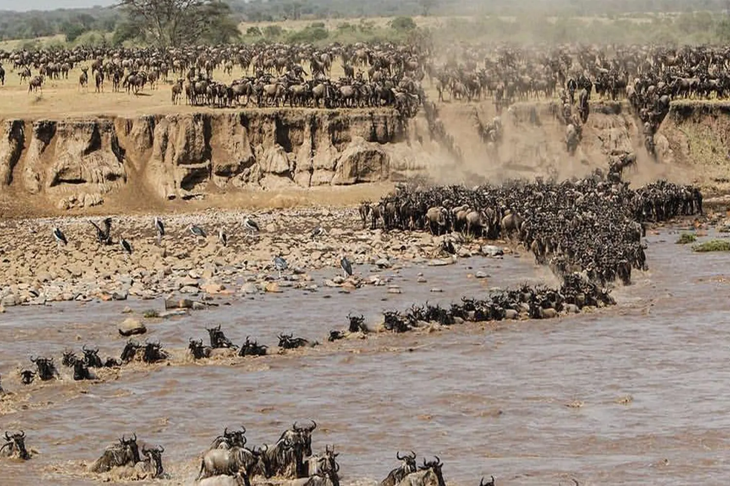 10-tägige Serengeti-Gnus-Migrationssafari tour package