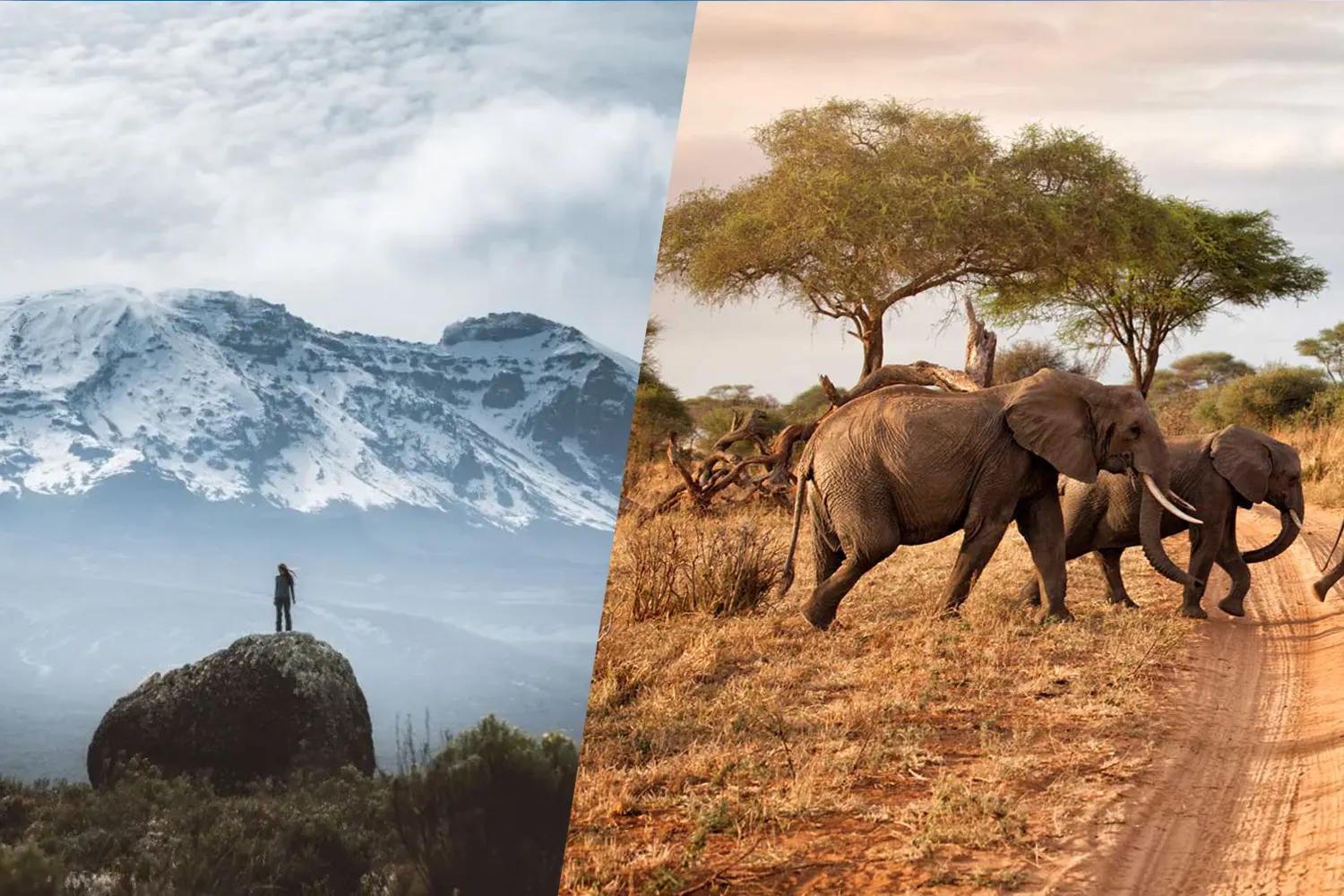 11-tägiges Kilimanjaro- und Safari-Tour-Paket