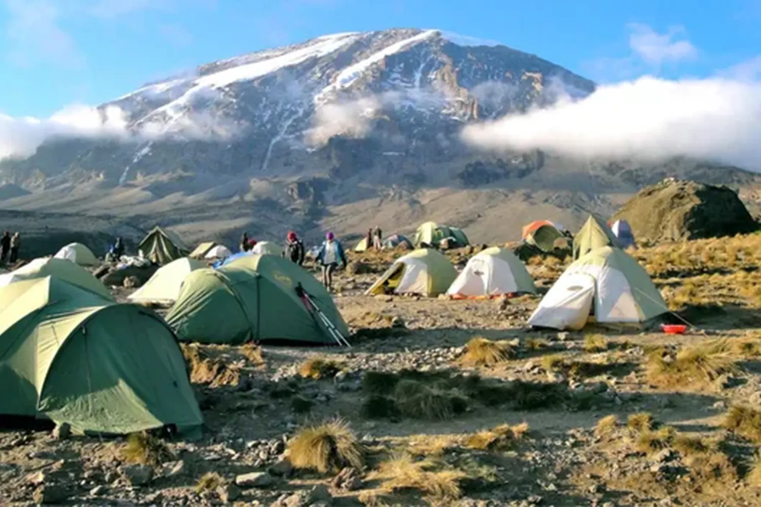 Mittelstreckenklettern am Kilimanjaro