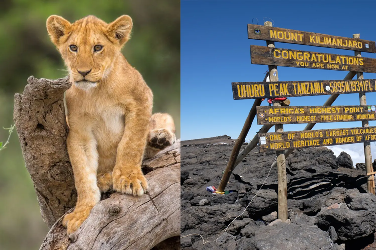 Inklusive Kilimandscharo-Trekking und Safari