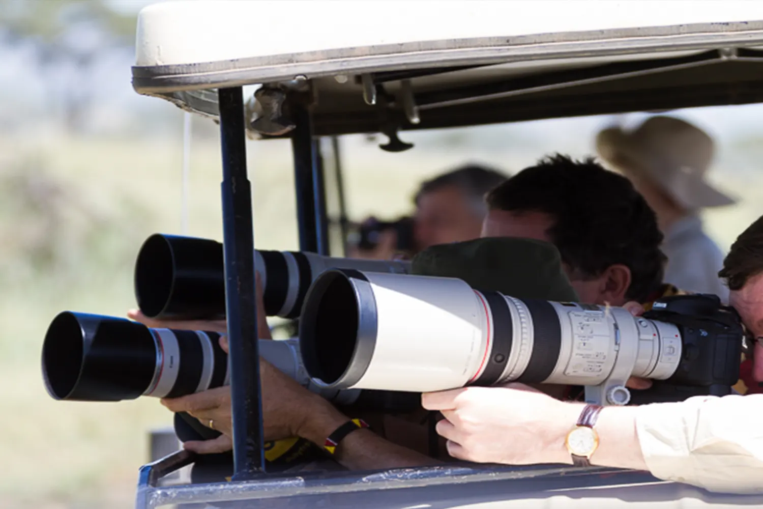 5-tägiges Ngorongoro-Krater-Shooting