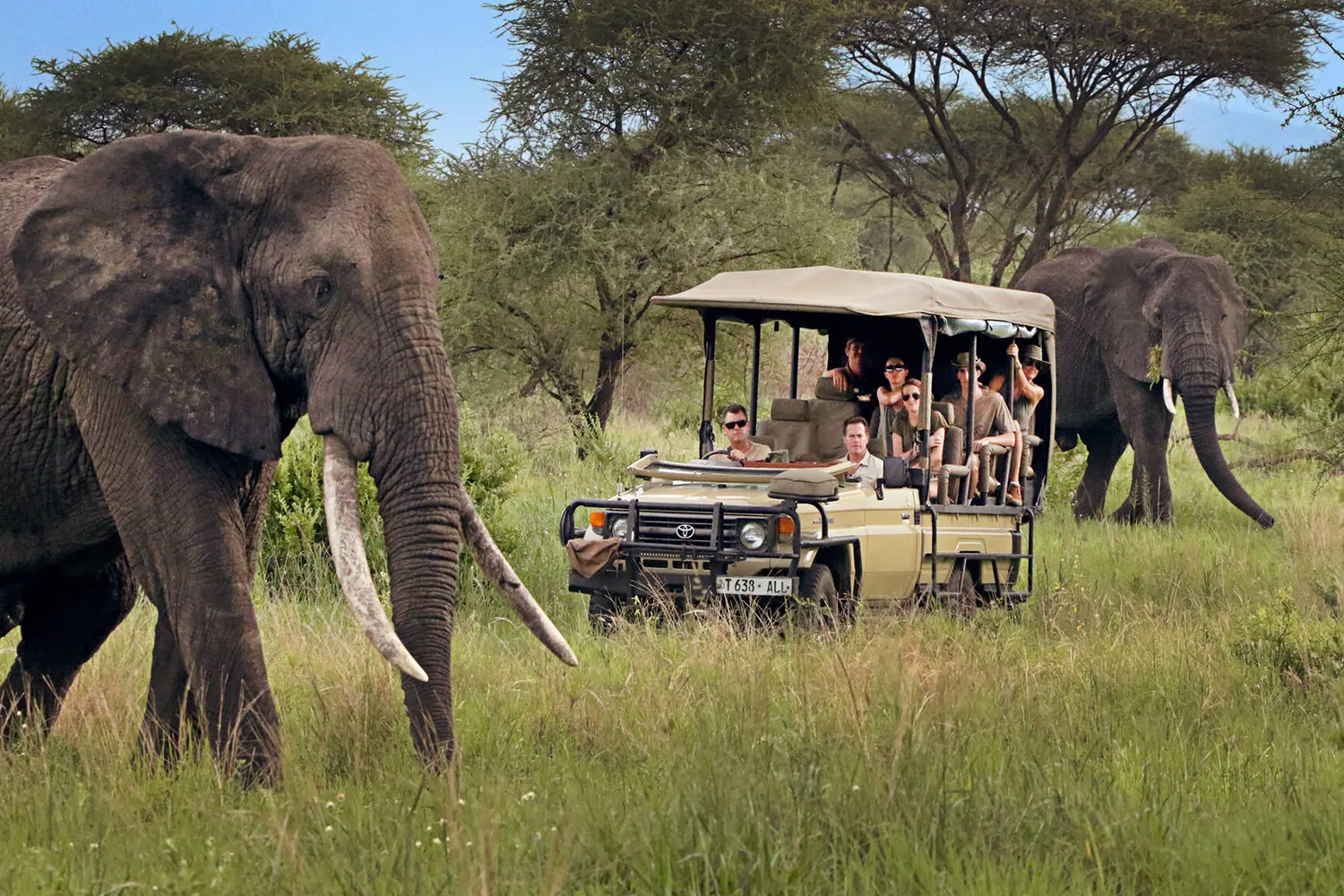 4 Tage Luxus-Serengeti-Safari