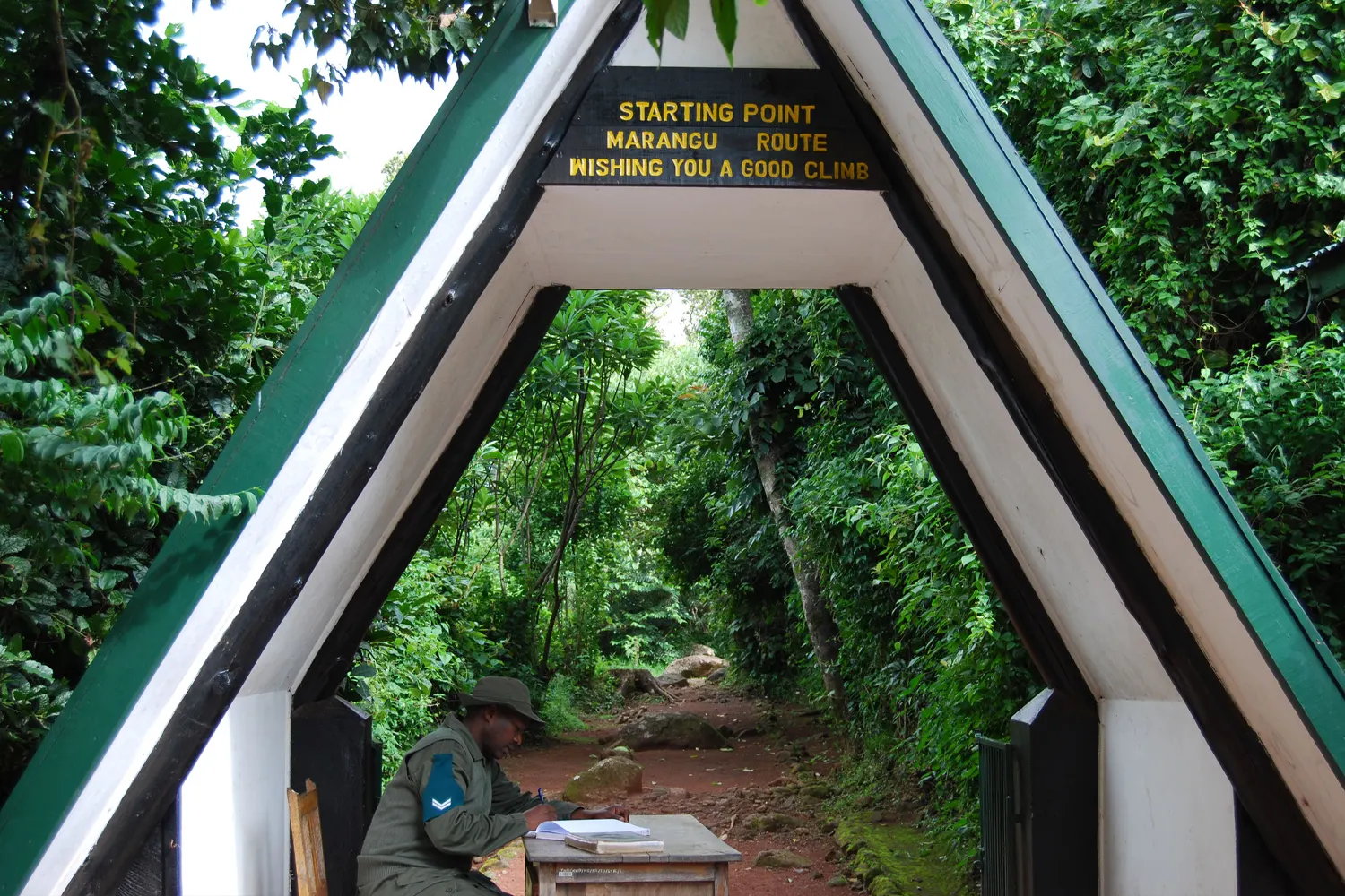 Marangu Route Kilimanjaro Tagesbesteigungstour