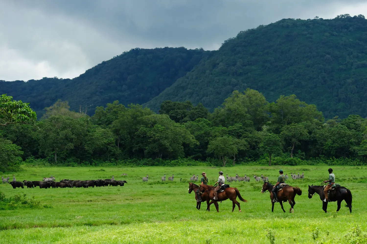 Kilimanjaro-Reitsafari