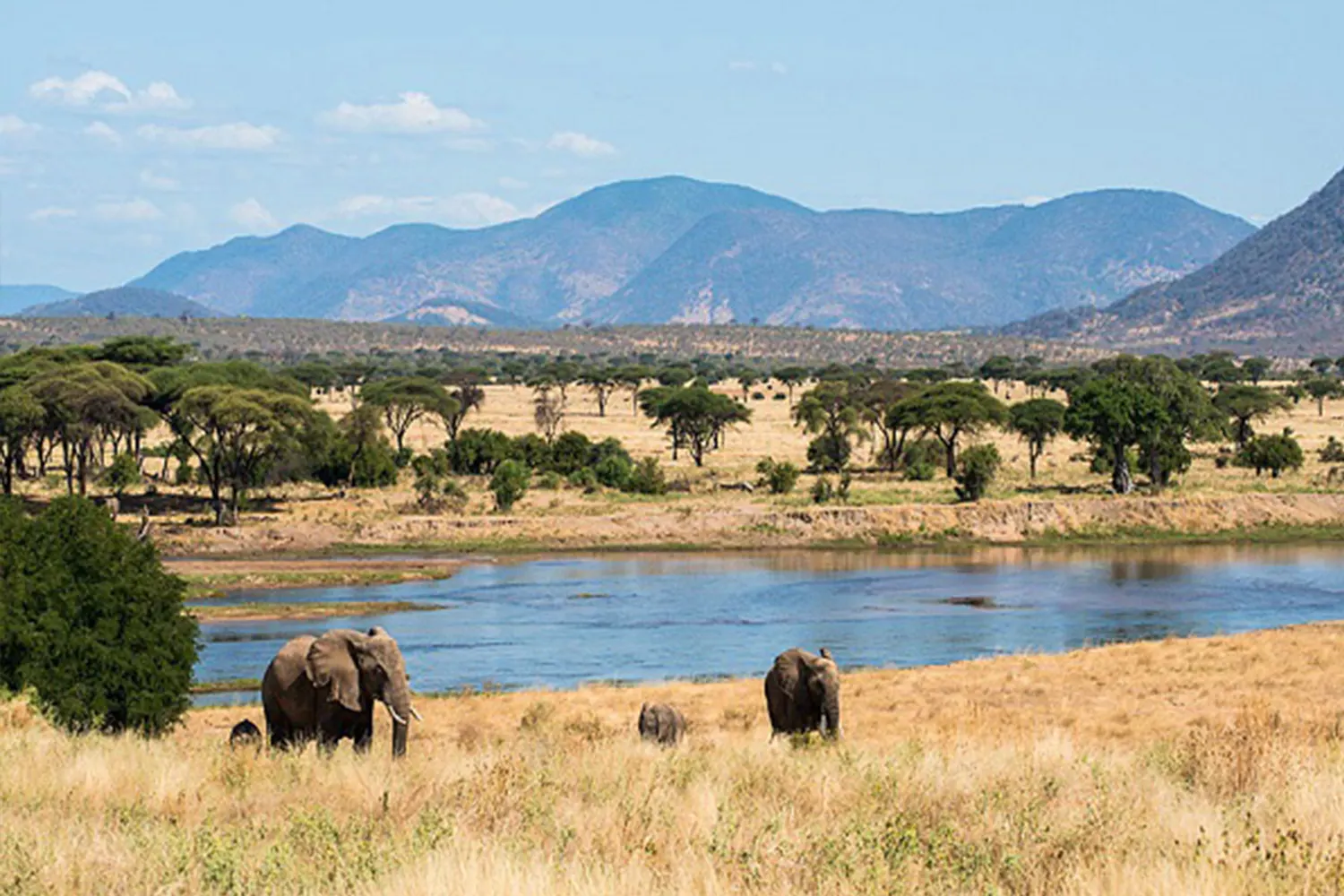 4 TAGE 3 NÄCHTE RUAHA NATIONALPARK